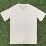 24-25 Lyon 75th Anniversary White Fans Training shirts