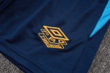 25-26 Gremio Lake blue Training Short Suit #D25173