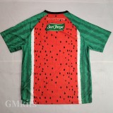 25-26 Deportivo Palestino Special Edition Third Fans Soccer Jersey