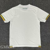 25-26 Cameroon White Training shirts