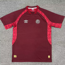 25-26 CA Lanus Home Fans Soccer Jersey