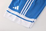 2025 AD10 Fancy blue Training Short Suit