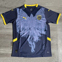 24-25 Fenerbahce Special Edition Blue Fans Soccer Jersey
