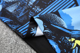 25-26 Brazil Blue Training Short Suit