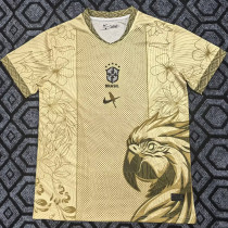 25-26 Brazil Gold Special Edition Training shirts