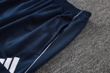 2025 AD Fancy blue Jacket Tracksuit #C2502