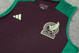 24-25 Mexico Maroon Tank top and shorts suit