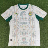 25-26 Senegal Home Fans Soccer Jersey