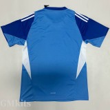 25-26 JUV Blue Goalkeeper Soccer Jersey