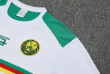 25-26 Cameroon White Training Short Suit