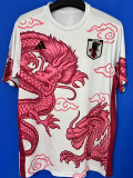 25-26 Japan Special Edition Fans Soccer Jersey (粉龙)