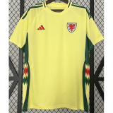 24-25 Wales Away Fans Soccer Jersey