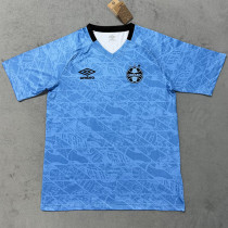 25-26 Gremio Sky Blue Training Shirts
