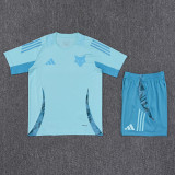 25-26 Cruzeiro Light blue Training Short Suit