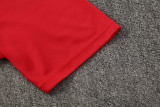26-27 LIV Red Polo Tracksuit