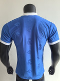 25-26 RMA Blue Special Edition Player Version Training Shirts (翻领)