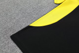 25-26 Dortmund Black Training Short Suit