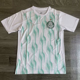 25-26 Palmeiras White Training Shirts