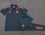 25-26 Bayern Dark gray Polo Tracksuit #C2544