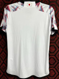 24-25 Japan White Special Edition Fans Training Shirts (李洛克)
