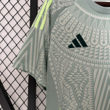 24-25 Mexico Away 1:1 Fans Soccer Jersey