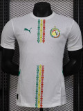 24-25 Senegal Home Player Version Soccer Jersey (带星)