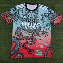 24-25 RMA Blue Red Special Edition Training Shirts (三叶草蓝红)