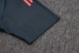 25-26 Bayern Dark gray Polo Tracksuit #C2544