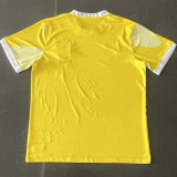 24-25 Brazil Special Edition Training Soccer Jersey (城市版)