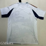 25-26 Bayern White Blue Special Edition Training shirts