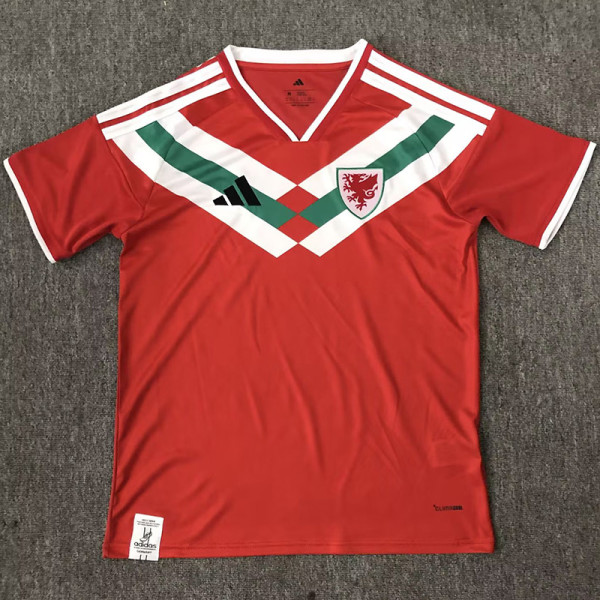 26-27 Wales Red Special Edition Fans Soccer Jersey