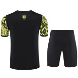 25-26 Brazil Yellow Training Short Suit