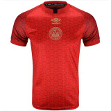 24-25 Bournemouth Red Special Edition Fans Soccer Jersey