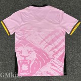 25-26 Cameroon Pink Fans Soccer Jersey