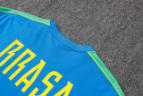 26-27 Brazil Lake blue Training Short Suit #J26028