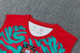 26-27 Portugal Red Green Tank top and shorts suit