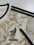 26-27 Mexico ‌Beige Special Edition Player Version Training shirts
