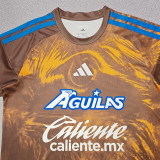 26-27 Club America Brown Training shirts