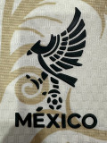 26-27 Mexico ‌Beige Special Edition Player Version Training shirts