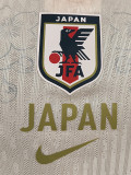 26-27 Japan Special Edition Player Version Training shirts