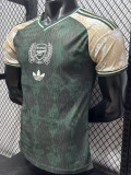 26-27 ARS Green Special Edition Player Version Training Shirts