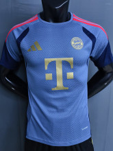26-27 Bayern Grey ‌Player Version Training Shirts