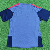 26-27 Bayern Grey Player Version Training Short Suit (球员短套装)