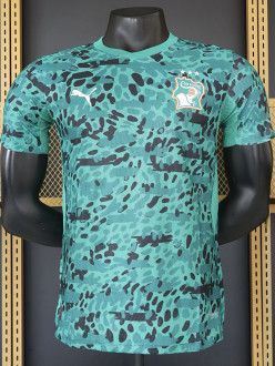26-27 Ivory Coast Green Special Edition Player Version Training Shirts