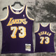 1998/1999 LAKERS ROOMAN #73 Purple Retro Top Quality Hot Pressing NBA Jersey(圆领）