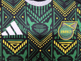 24/25 Jamaica  Away  Player Version  Soccer Jersey