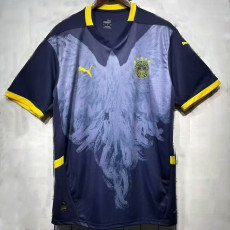25/26 Fenerbahce Special Edition Dard  Blue Fans Soccer Jersey