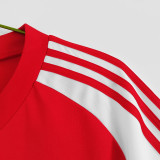 1982 Wales Home Retro Soccer Jersey