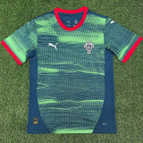 25-26 Portugal Green  Training shirts