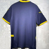 25/26 Fenerbahce Special Edition Dard  Blue Fans Soccer Jersey